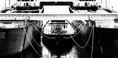 Illustration camel - Image 1