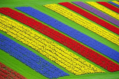 Illustration knoll - Image 1