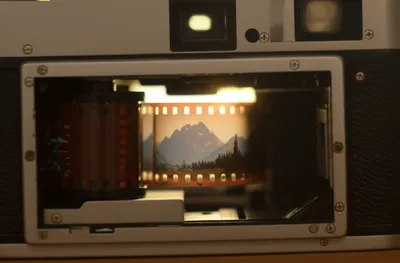 Illustration exposing - Image 1