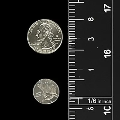 Illustration pica - Image 1