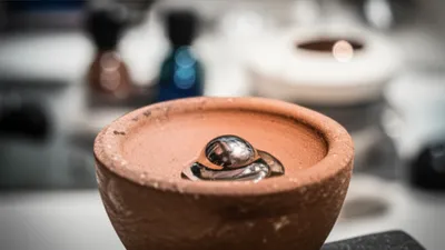 Illustration button - Image 1