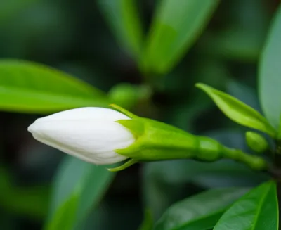 Illustration ab - Image 1