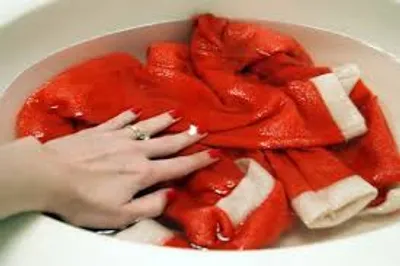 Illustration sodden - Image 2