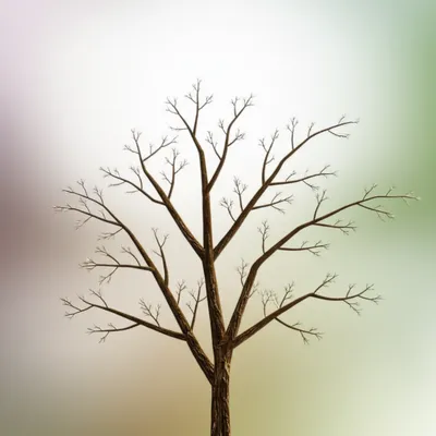 Illustration branched - Image 1