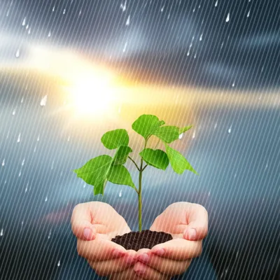 Illustration c - Image 1