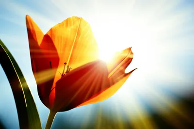 Illustration exposure - Image 1