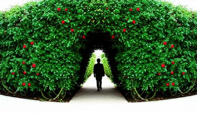 Illustration skirting - Image 1