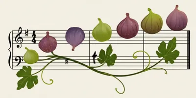 Illustration figs - Image 1