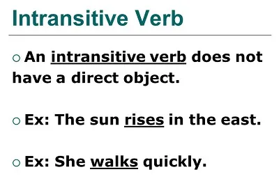 Illustration intransitive - Image 2