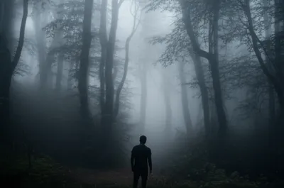 Illustration hinterland - Image 1