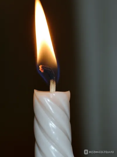 Illustration tapering - Image 1