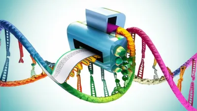 Illustration transcriptase