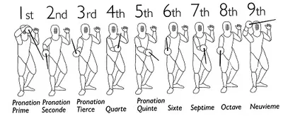 Illustration octave - Image 2