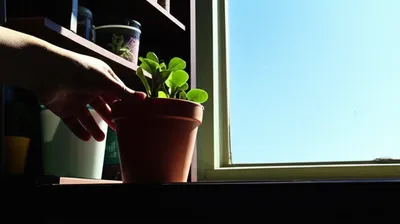 Illustration dispositions - Image 1