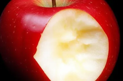 Illustration bit - Image 1