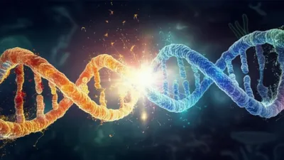 Hình ảnh minh họa shift - Ảnh 1