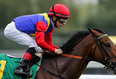 Illustration silks - Image 1