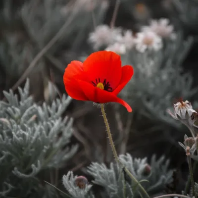 Illustration noticing - Image 1