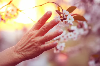 Illustration mortal - Image 1