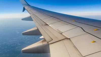 Illustration slats - Image 1