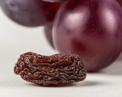 Illustration fig - Image 1