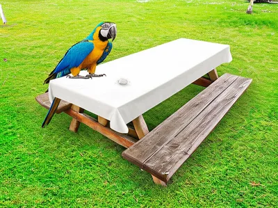 Illustration muted - Image 1