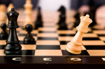 Illustration hung - Image 1