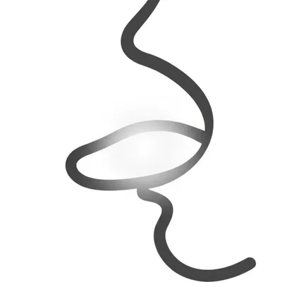 Illustration palatalizes - Image 1