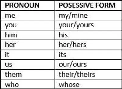 Illustration possessive - Image 2