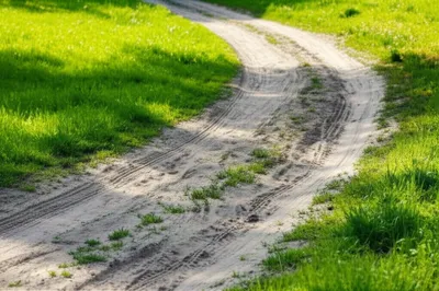 Illustration goings - Image 1