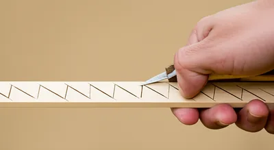 Illustration notch - Image 1