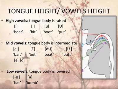 Illustration close - Image 2