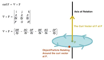 Illustration curl - Image 2