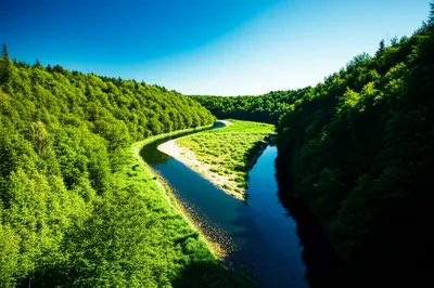 Illustration crotches