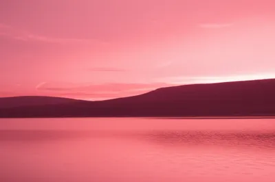 Illustration rosy - Image 1