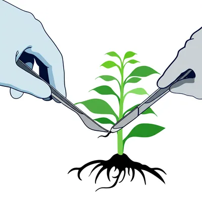 Illustration extirpated - Image 1