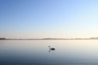 Illustration lull - Image 1