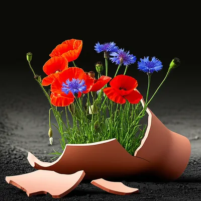 Illustration frags - Image 1