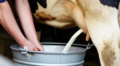 Illustration strips - Image 1