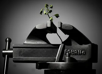 Illustration distrain - Image 2