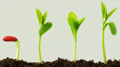 Illustration swells - Image 1