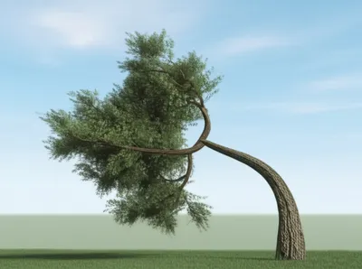 Illustration bows - Image 1