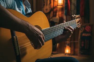 Illustration viola - Image 1