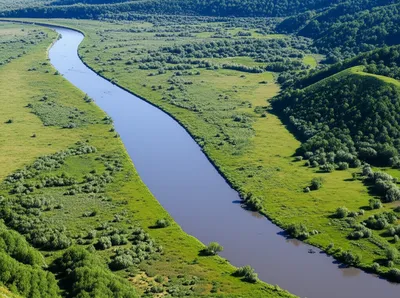 Illustration lies - Image 1