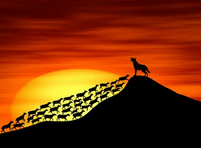 Illustration routed - Image 1