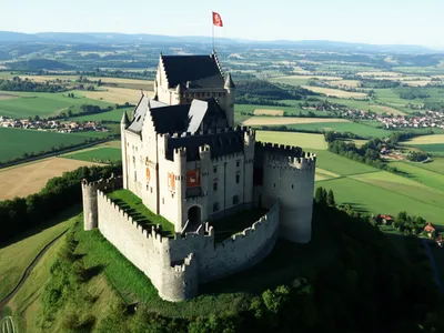 Illustration palatinate - Image 1