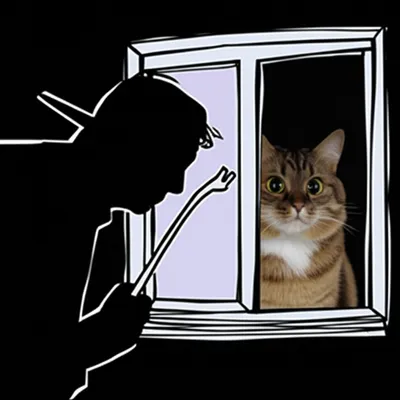 Illustration burglarized