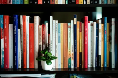 Illustration orderly - Image 1