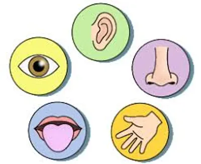 Illustration physical - Image 4