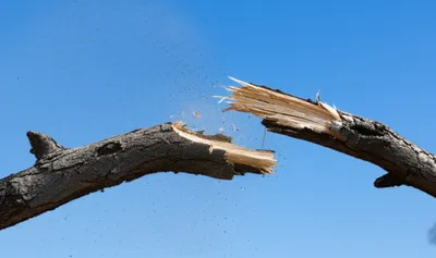 Illustration snapping - Image 1